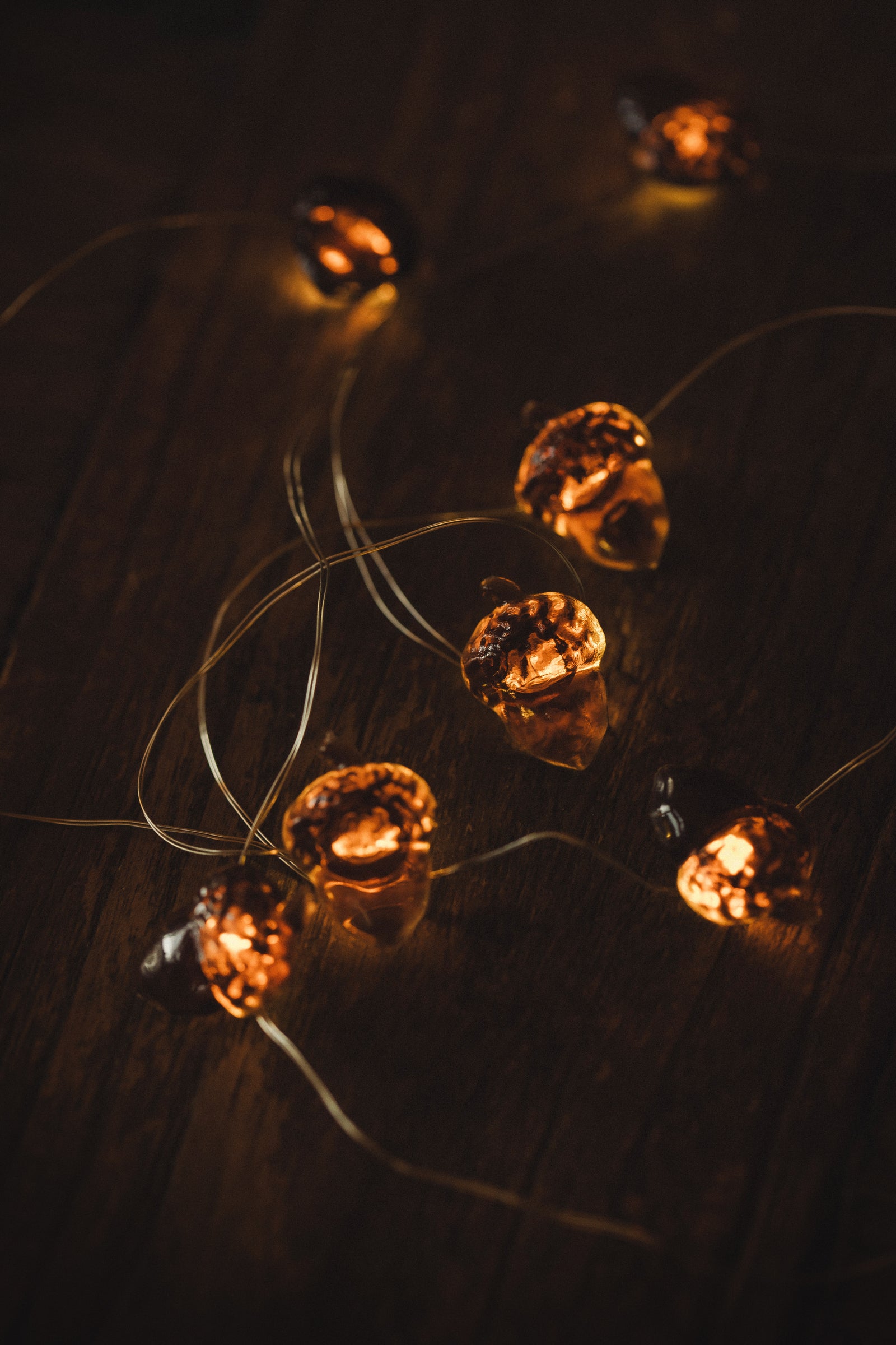 WOODLAND FESTIVE LIGHTS