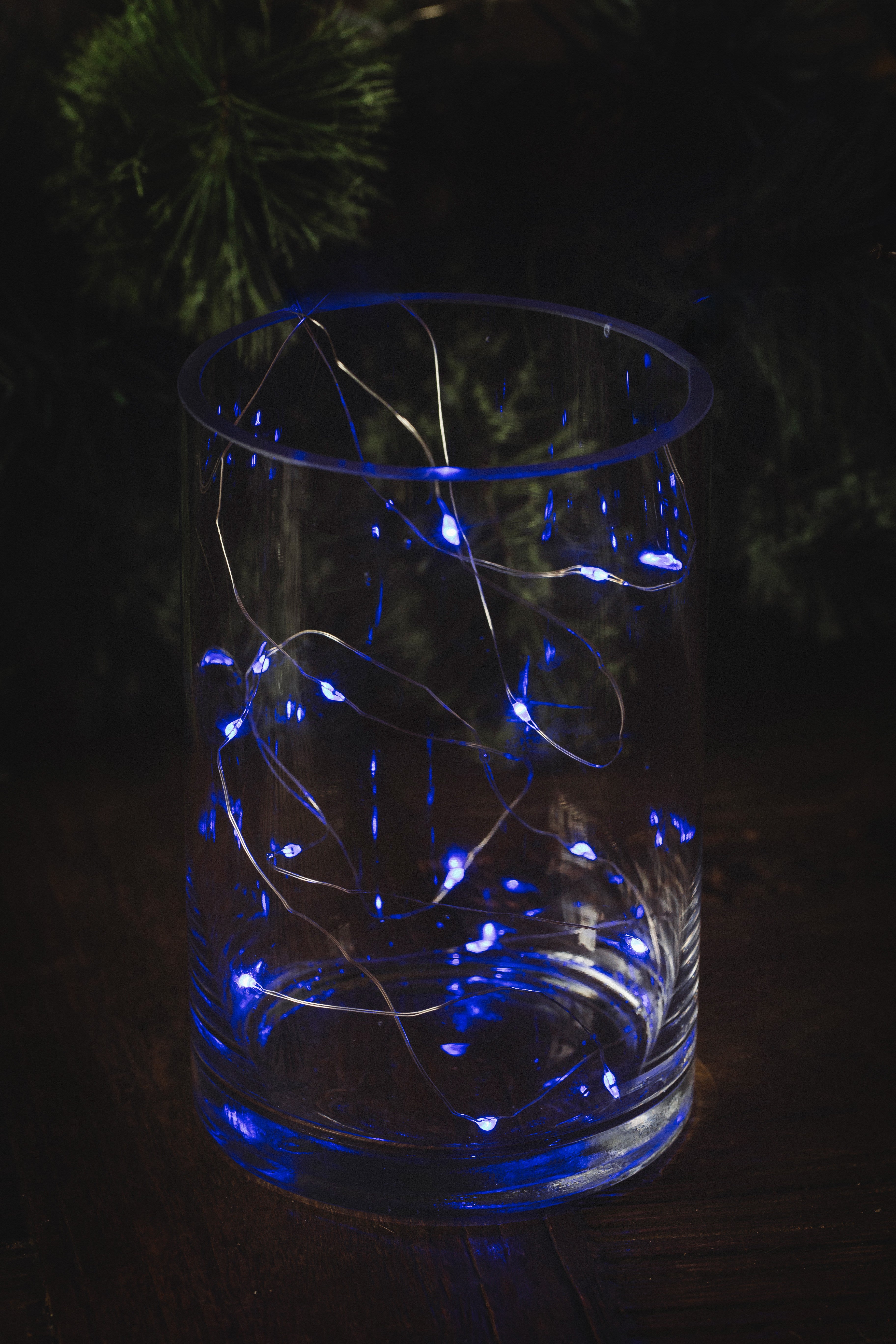 MUSKOKA LED SEED LIGHTS