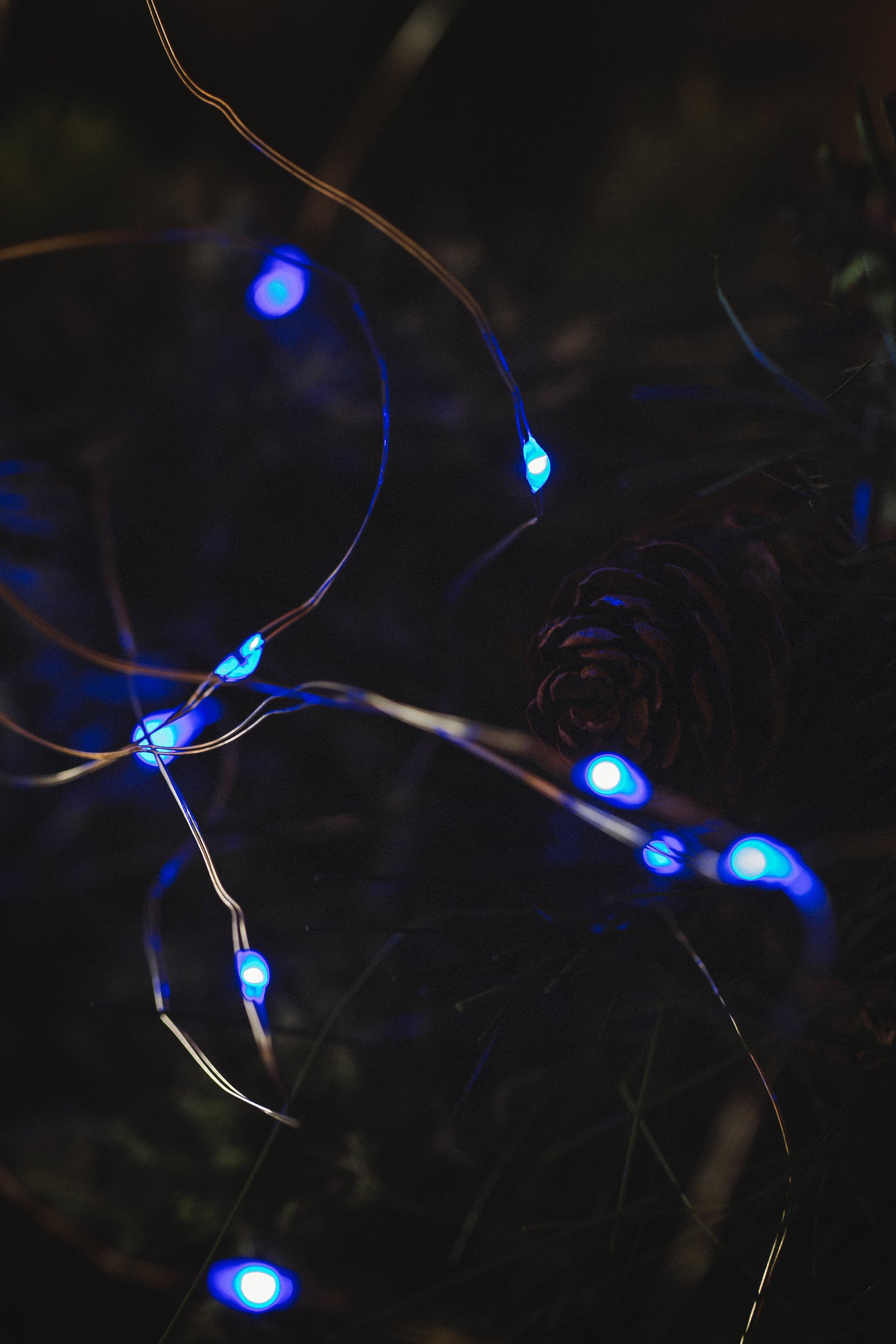 MUSKOKA LED SEED LIGHTS