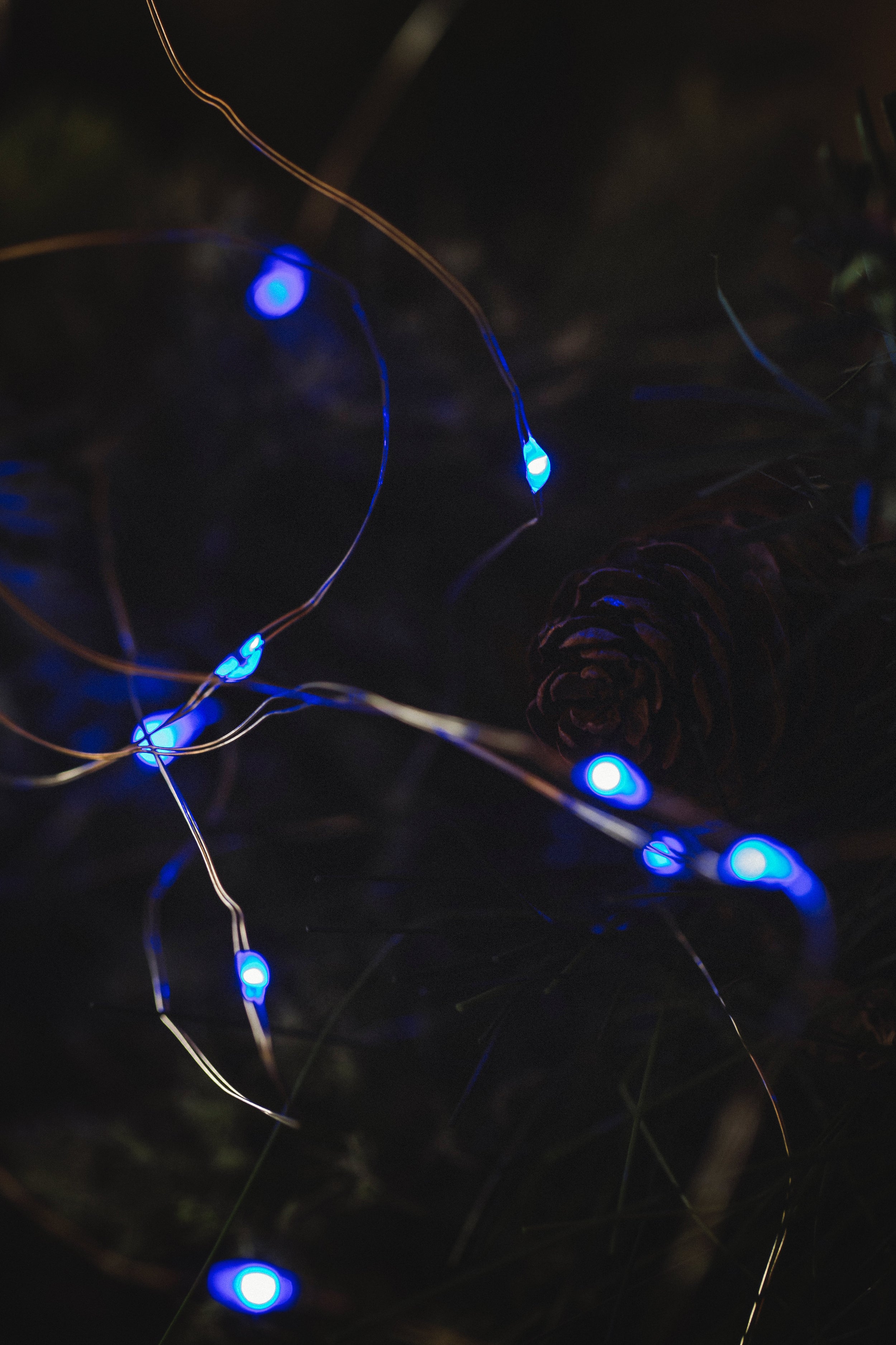 MUSKOKA LED SEED LIGHTS