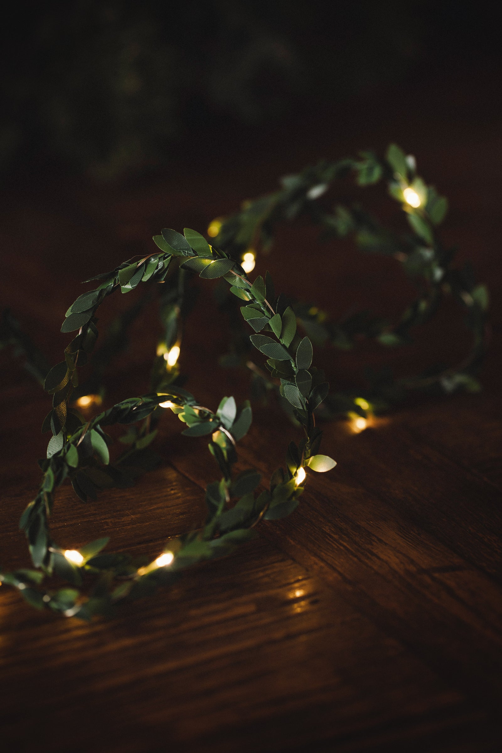 MUSKOKA GARLAND OF LIGHTS