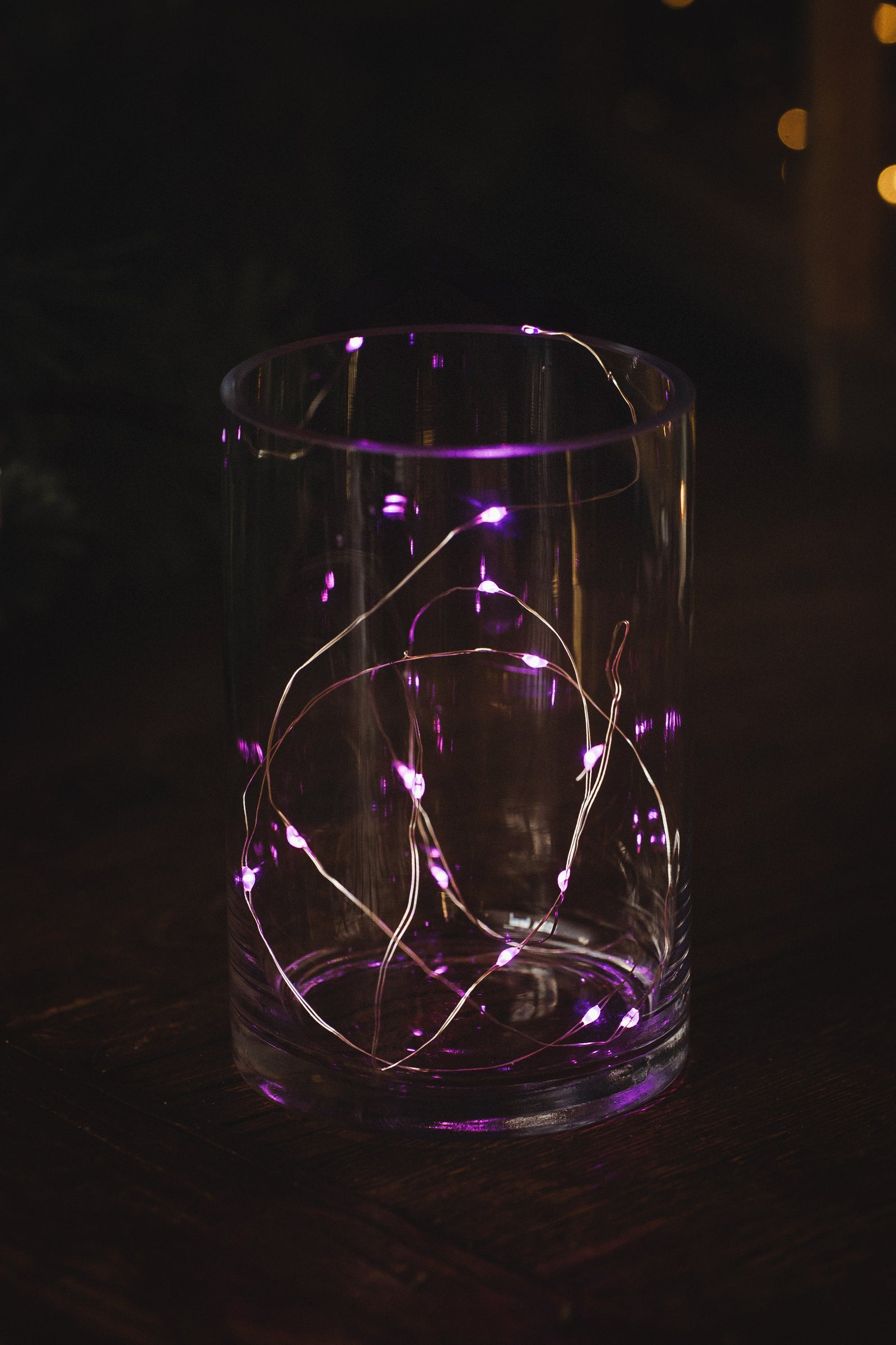 MUSKOKA LED SEED LIGHTS