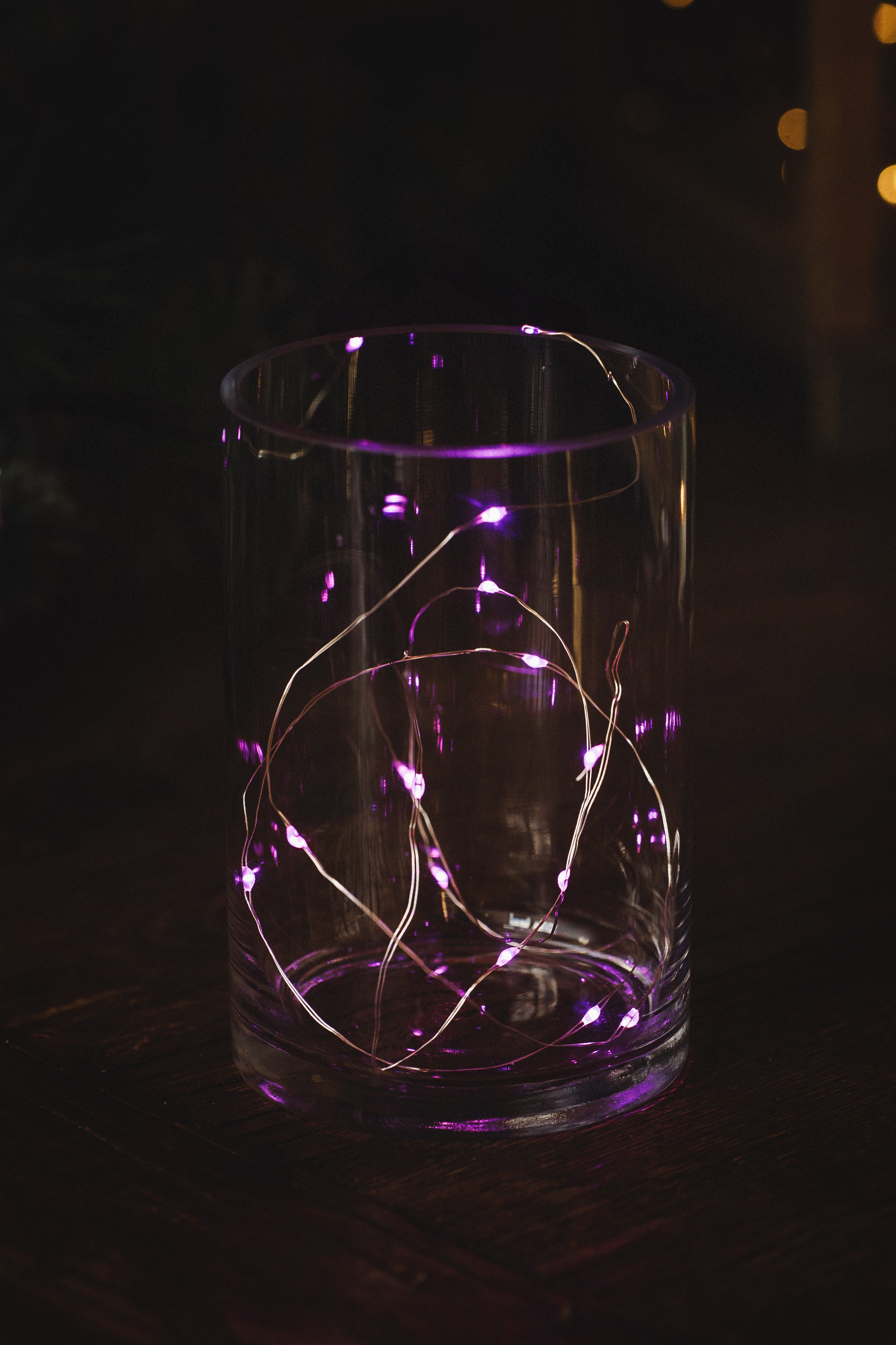 MUSKOKA LED SEED LIGHTS