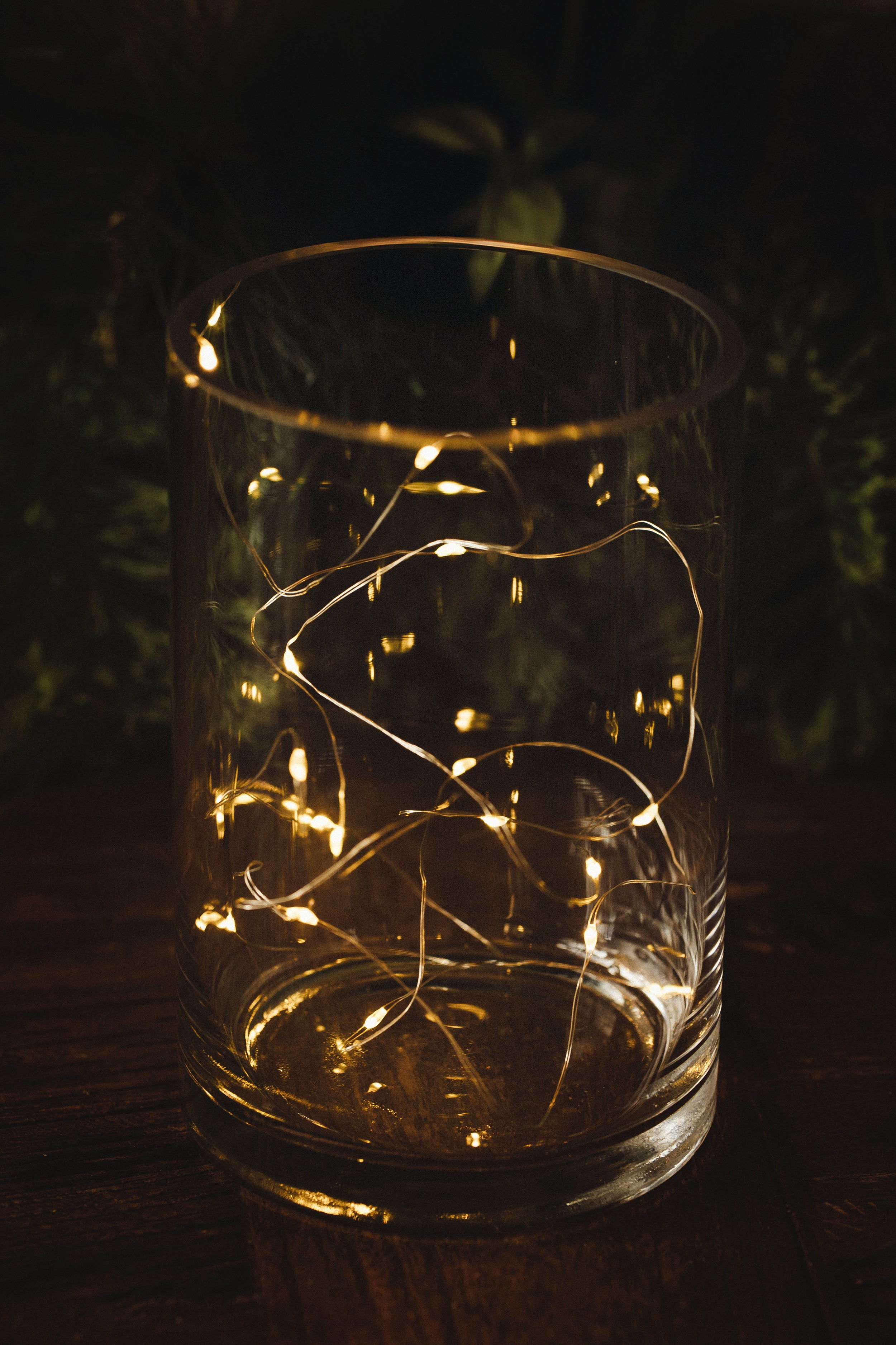 MUSKOKA LED SEED LIGHTS