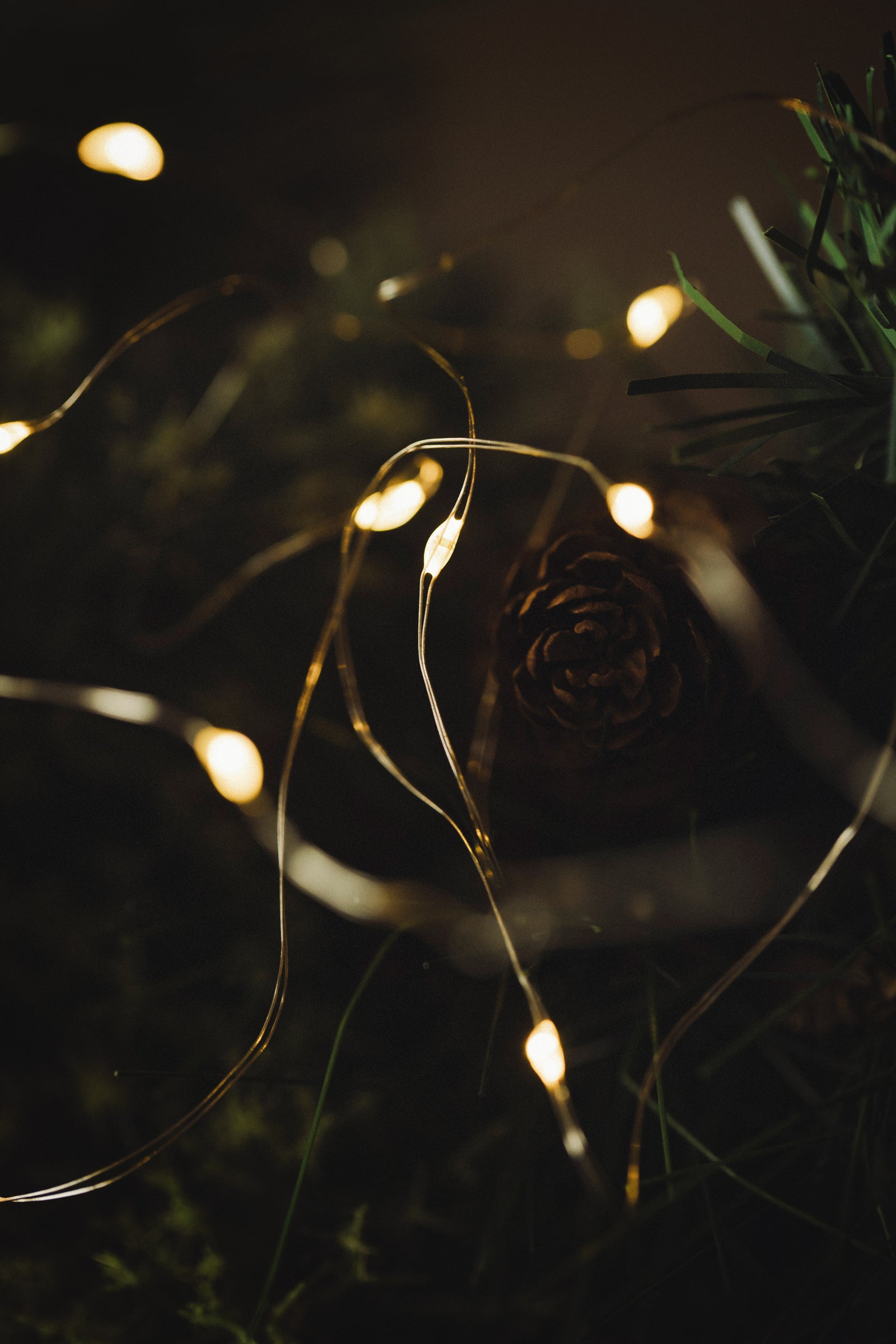 MUSKOKA LED SEED LIGHTS